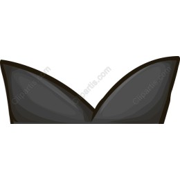 Stylish Black Bikini Top