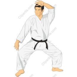 Dynamic Karate Practitioner