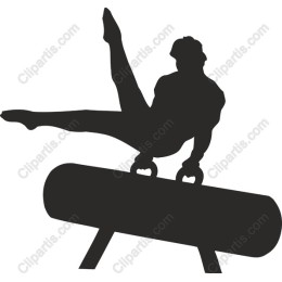 Dynamic Gymnast