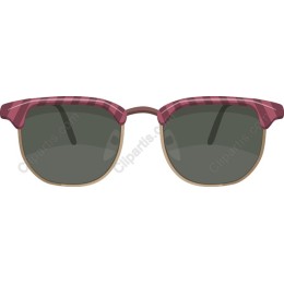 Trendy Plaid Sunglasses