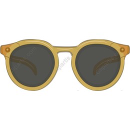 Chic Golden Frame Sunglasses