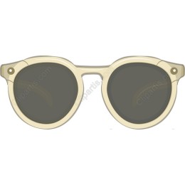 Retro Sunglasses