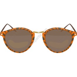 Tiger Print Sunglasses