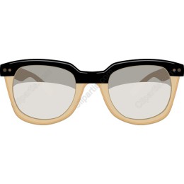 Retro Sunglasses