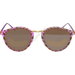 Chic Sunglasses