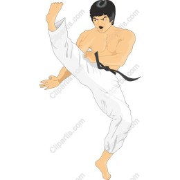 Dynamic Martial Artist