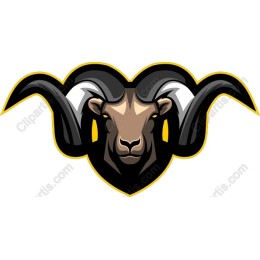 Majestic Ram Head