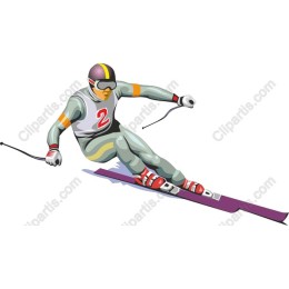 Professional Skier