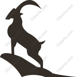 Mountain Goat