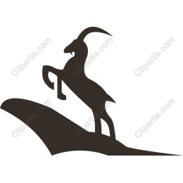 Mountain Goat
