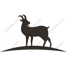 Elegant Goat