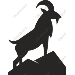Mountain Goat