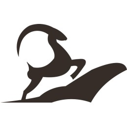 Dynamic Surfer