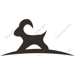 Mountain Goat