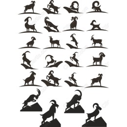 Goat Collection - Dynamics