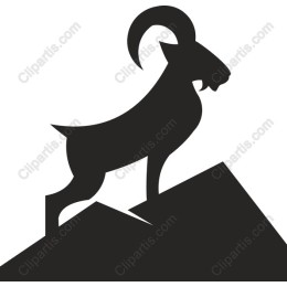 Mountain Goat