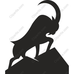 Majestic Mountain Goat