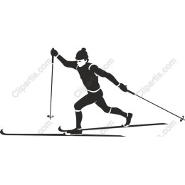 Dynamic Cross-Country Skier