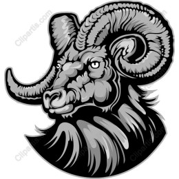 Majestic Ram Head