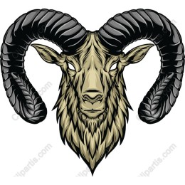 Majestic Ram