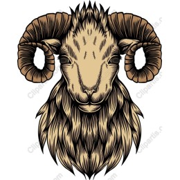 Majestic Ram Head