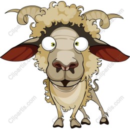 Adorable Quirky Sheep