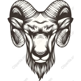 Majestic Ram Head