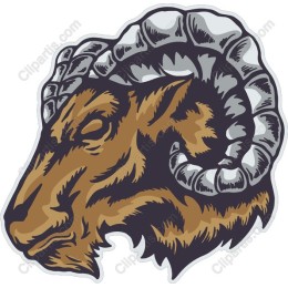 Majestic Ram Head