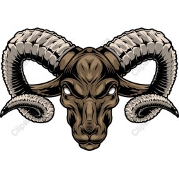 Fierce Ram Head