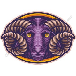 Majestic Ram Head