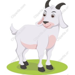 Charming Goat