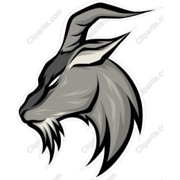 Mountain Goat Head