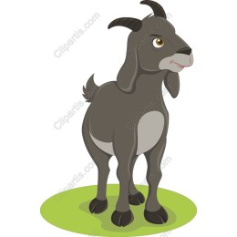 Charming Goat