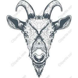 Majestic Goat Head