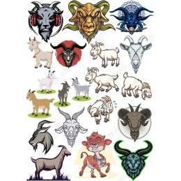 Eclectic Goat and Ram Collection