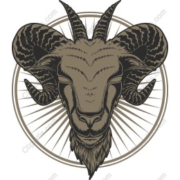 Majestic Ram Head