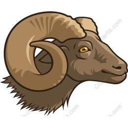 Majestic Ram Head