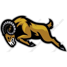 Dynamic Ram