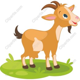 Cheerful Goat