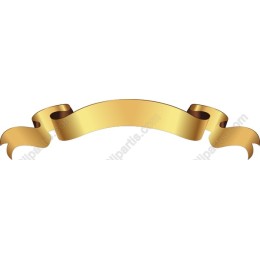 Elegant Golden Ribbon