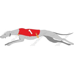 Dynamic Racing Greyhound