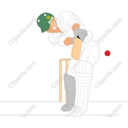 Dynamic Cricket Player