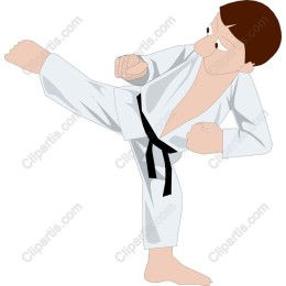 Dynamic Martial Artist