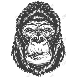 Gorilla Face Vintage