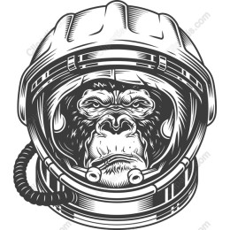 Galactic Gorilla