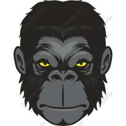 Gorilla - Fierce and Dynamic
