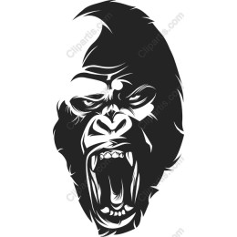 Intense Gorilla