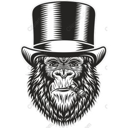 Dapper Monkey