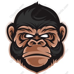  Gorilla Head