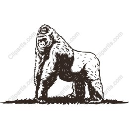 Majestic Gorilla